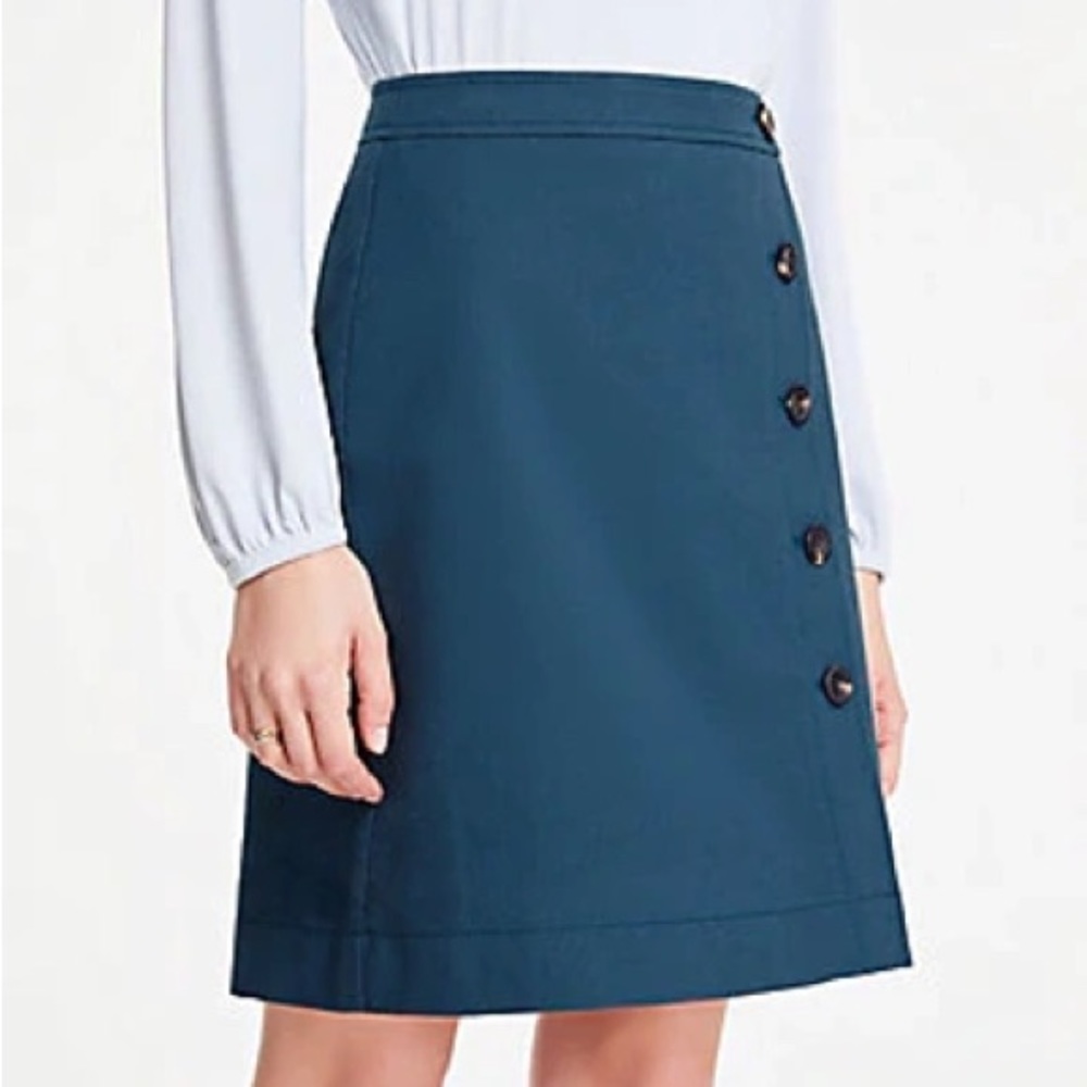 ANN TAYLOR NWT Textured Buttoned A-Line Skirt Womens Size 8 - Picture 1 of 6